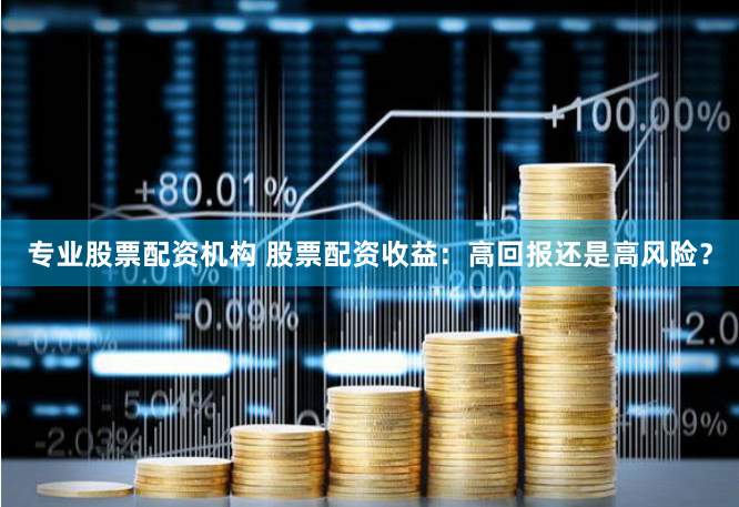 专业股票配资机构 股票配资收益：高回报还是高风险？
