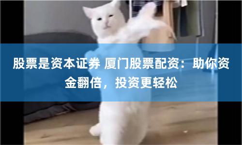 股票是资本证券 厦门股票配资：助你资金翻倍，投资更轻松