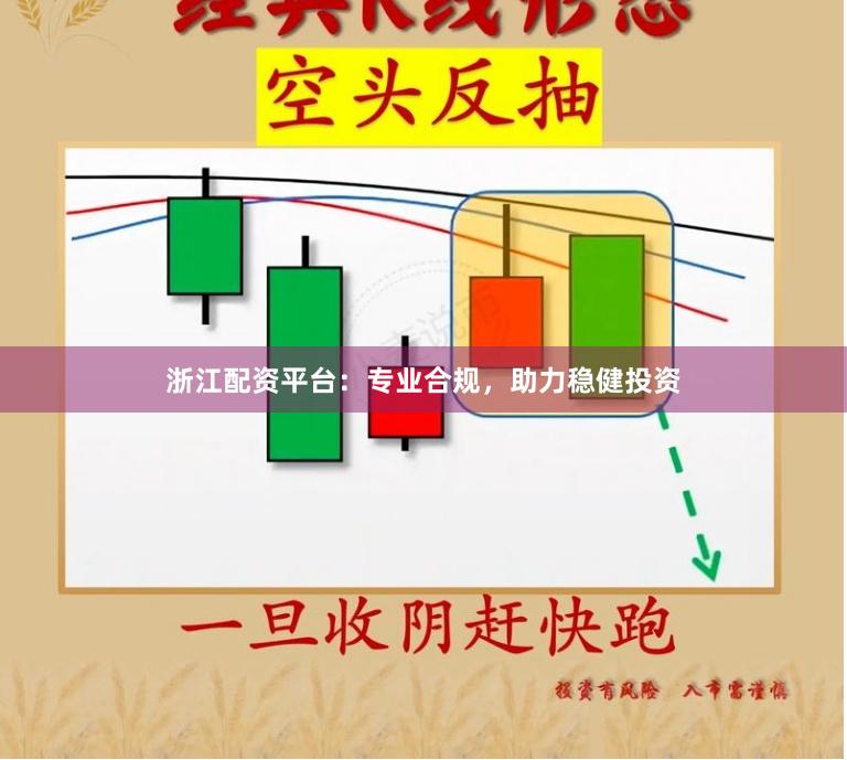 浙江配资平台：专业合规，助力稳健投资