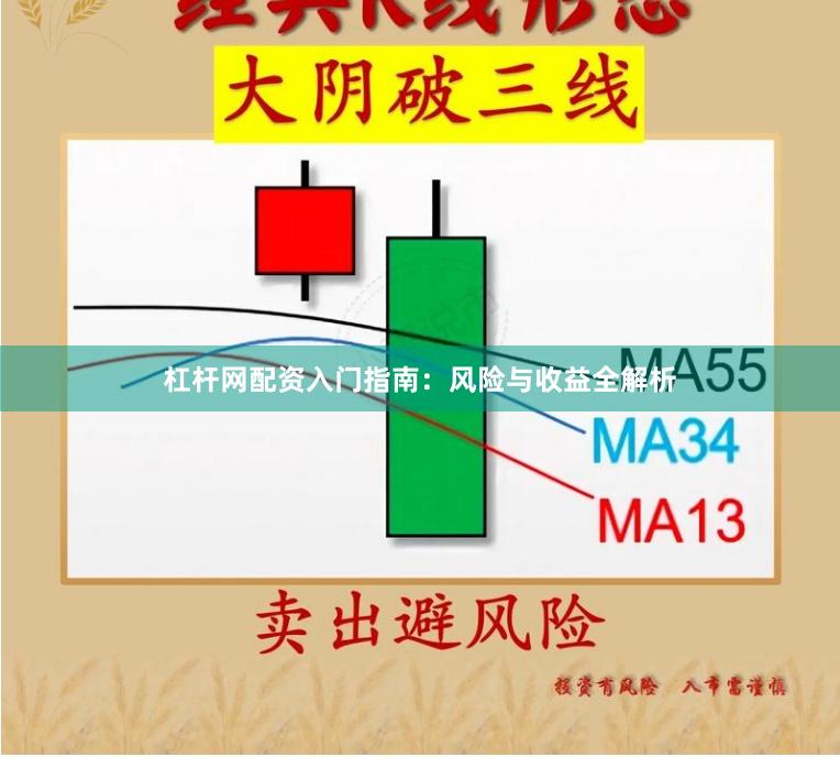 杠杆网配资入门指南:风险与收益全解析
